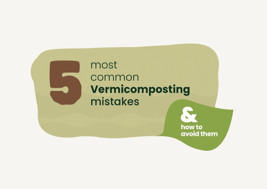 The Five Most Common Vermicomposting Mistakes and How to Avoid Them